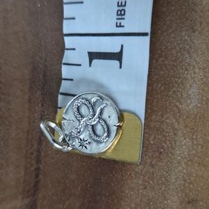 Pandora Remember To Live Infinity Snake Medallion Charm